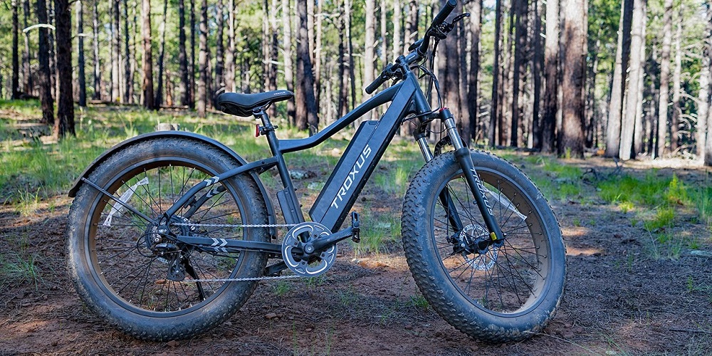 What are lynx electric bikes?
